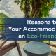 Reasons to Convert Your Accommodation into an Eco-Friendly Resort